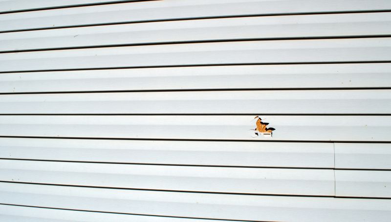 Vinyl Siding Repair Service - Image 2