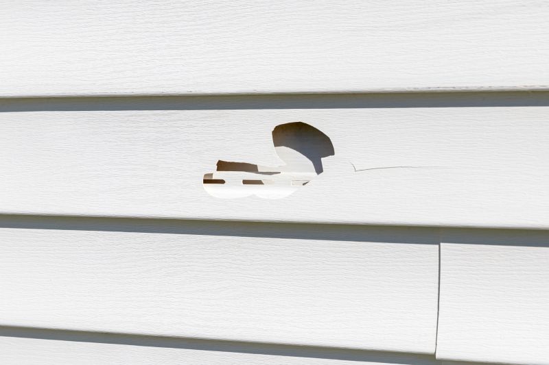 Vinyl Siding Repair Service - Image 3