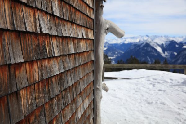 Cedar Siding Repair in Issaquah