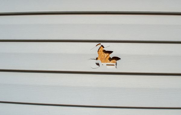 Siding Hole Repair in Issaquah