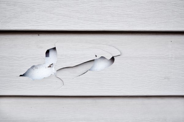 Siding Leak Repair in Issaquah