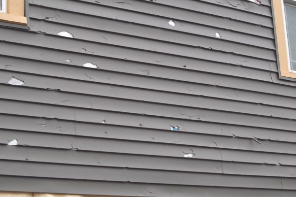 Damaged Siding Replacement in Issaquah