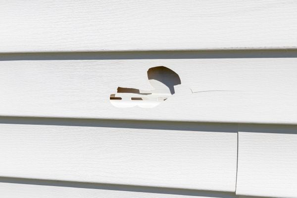 White Vinyl Siding Repair in Issaquah